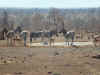 zebra1222.jpg (119892 bytes)